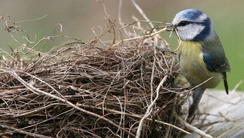 Прогноз погоды на 4 апреля: осадки сохранятся на большей части страны