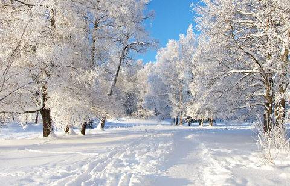 Фото rus-img2.com
