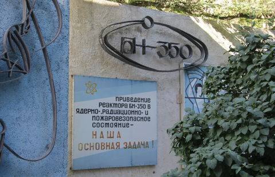 Фото Анастасии Омельченко