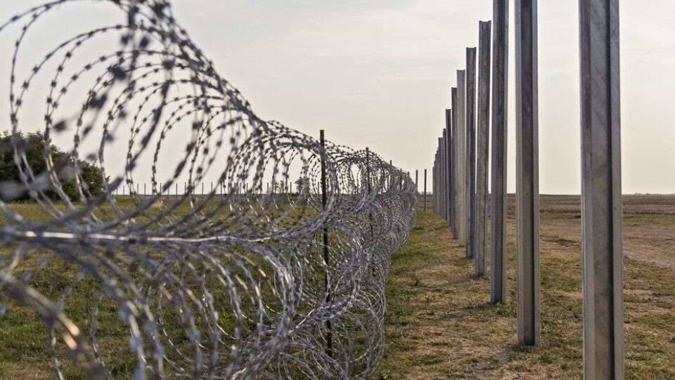 Погранслужба КНБ провела расследование из-за жалоб граждан Узбекистана на поборы на границе с РК