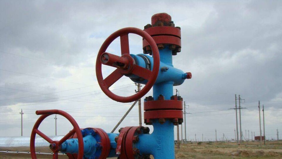 Туркмения меняет парадигму развития: чем это грозит Казахстану