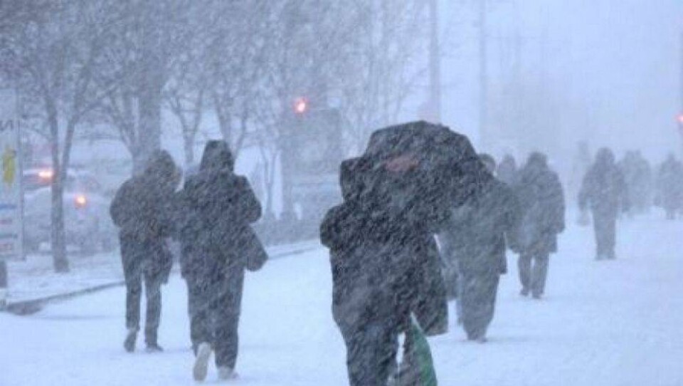 Холод и метель сохранятся на выходные в Казахстане