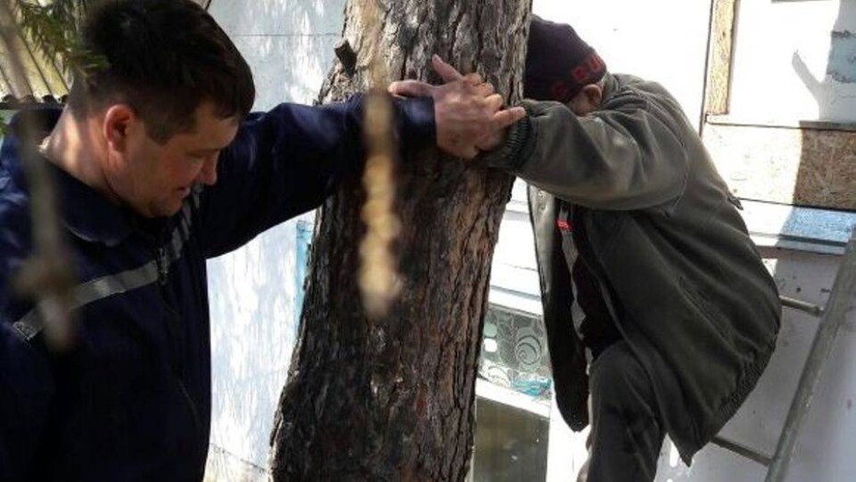 В Петропавловске спасатели эвакуировали пенсионера с крыши затопленной дачи