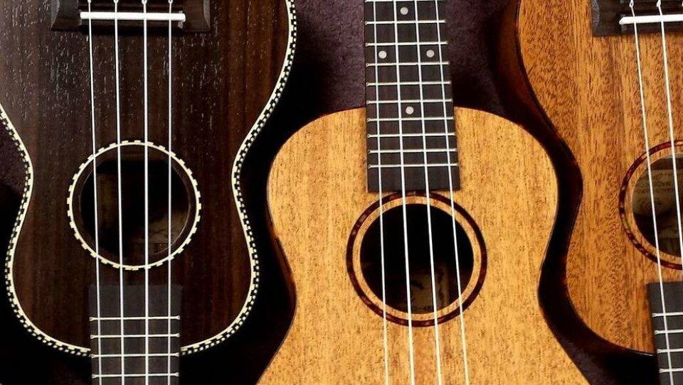 Изображение stgilesmusic с сайта Pixabay