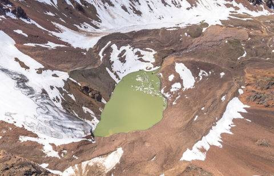 Фото Григория Беденко