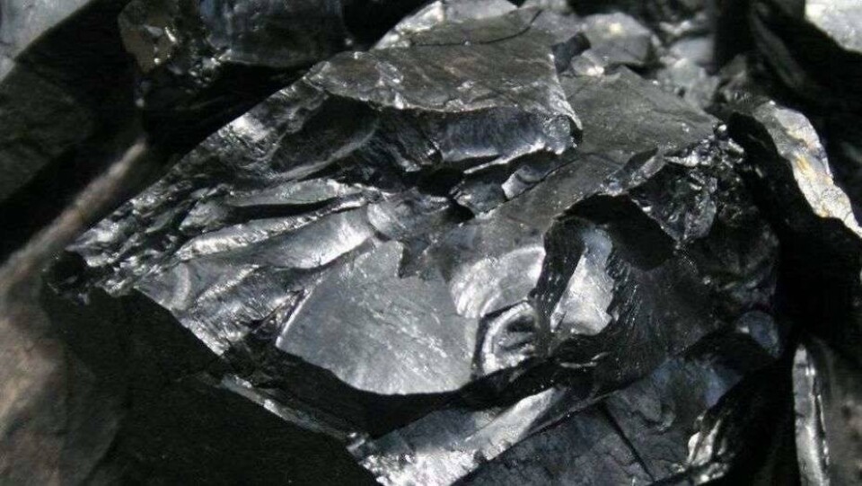 В Алматинской области перекупщики угля смешивают его с мусором
