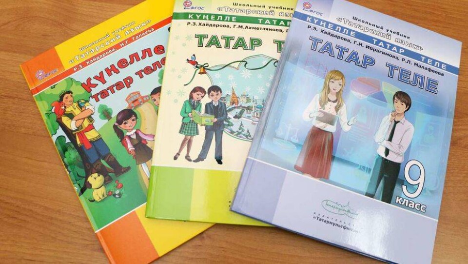 Из оставшихся без работы преподавателей татарского языка за полгода сделают географов