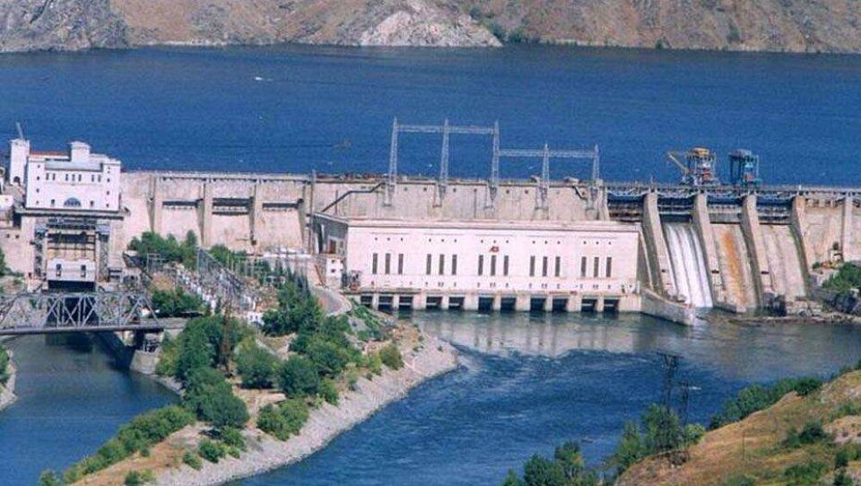 altaynews.kz