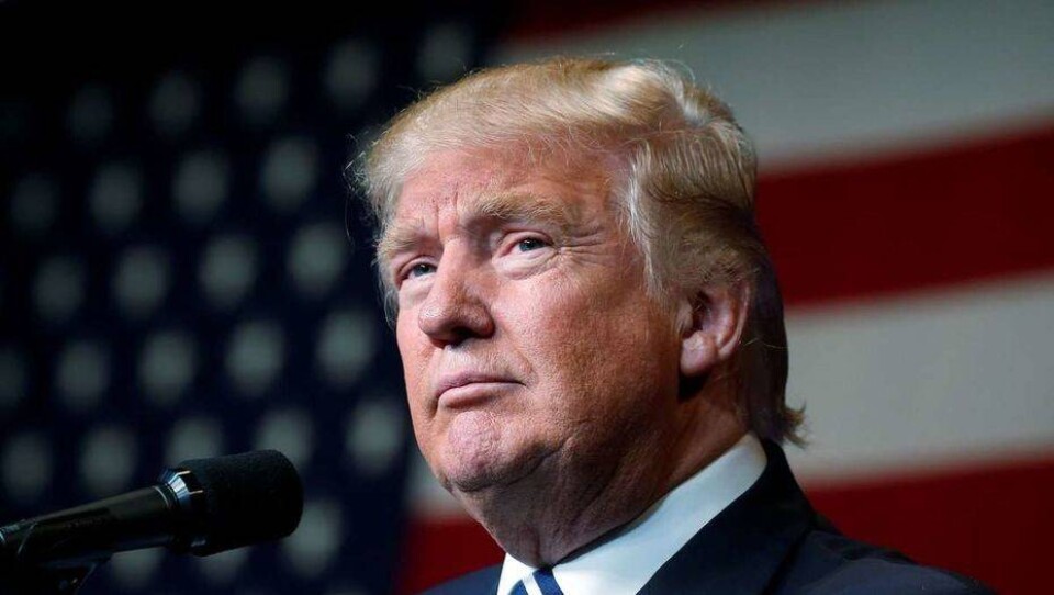 Трамп готов закрыть границу с Мексикой, несмотря на экономические потери для США