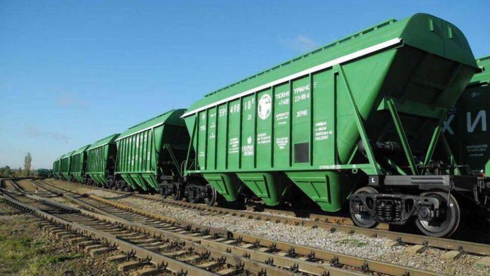 http://kazakh-zerno.kz