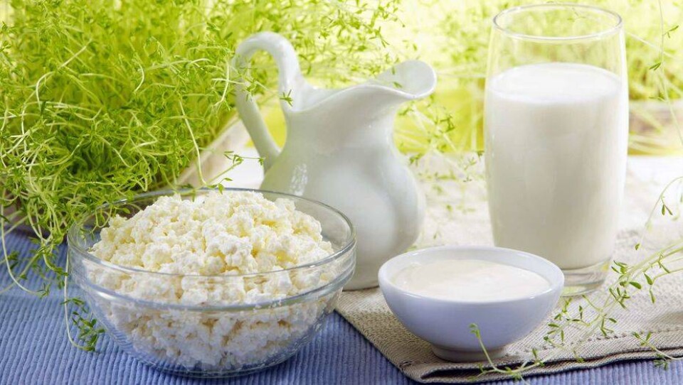 Жандарбек Бекшин рассказал о фальсификациях пищевой продукции в Казахстане