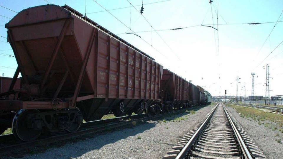 Мукомолов ЮКО пообещали до конца октября обеспечить зерновозами