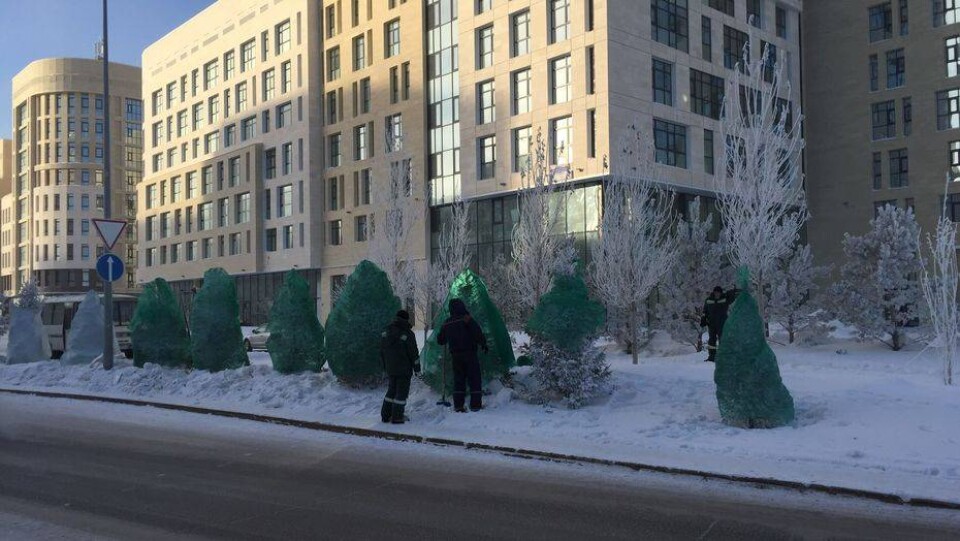Фото пользователя АО "Астана - Зеленстрой" в Facebook