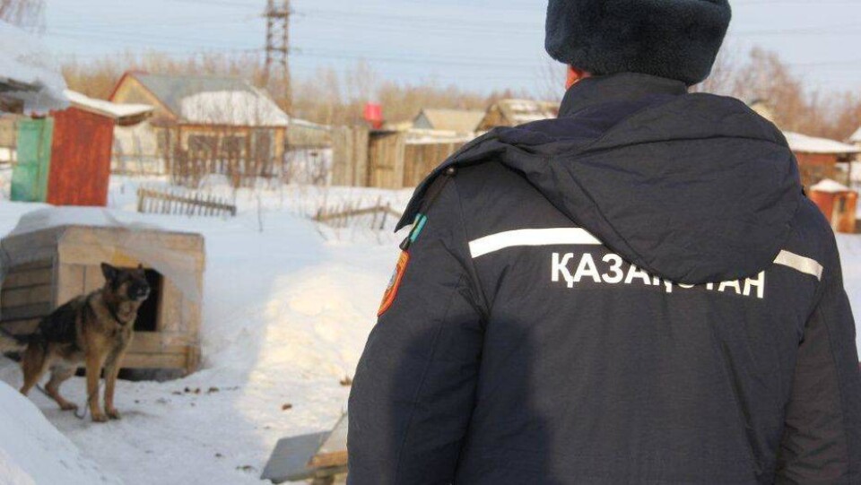 В Усть-Каменогорске на пожарных бросаются с палками и грозят спустить собак