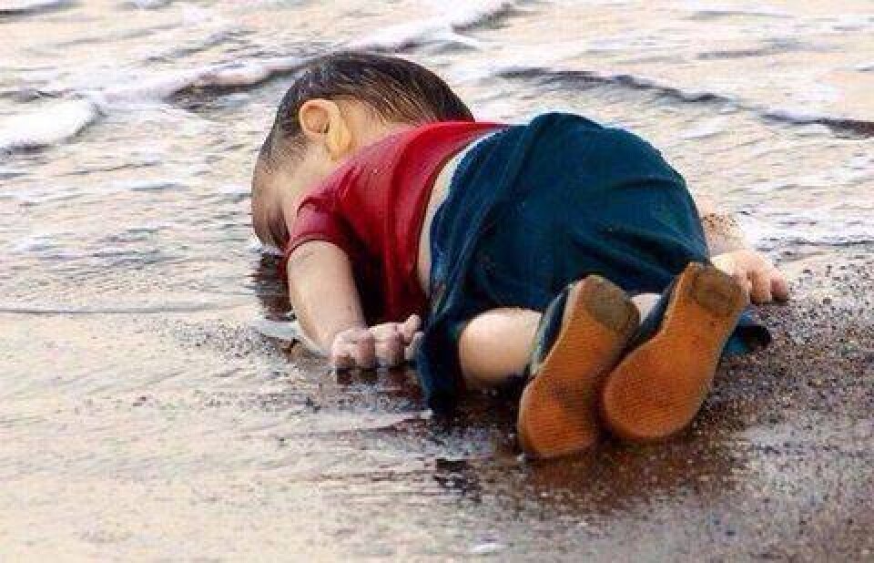 Фото c сайта twitter.com/hashtag/aylankurdi