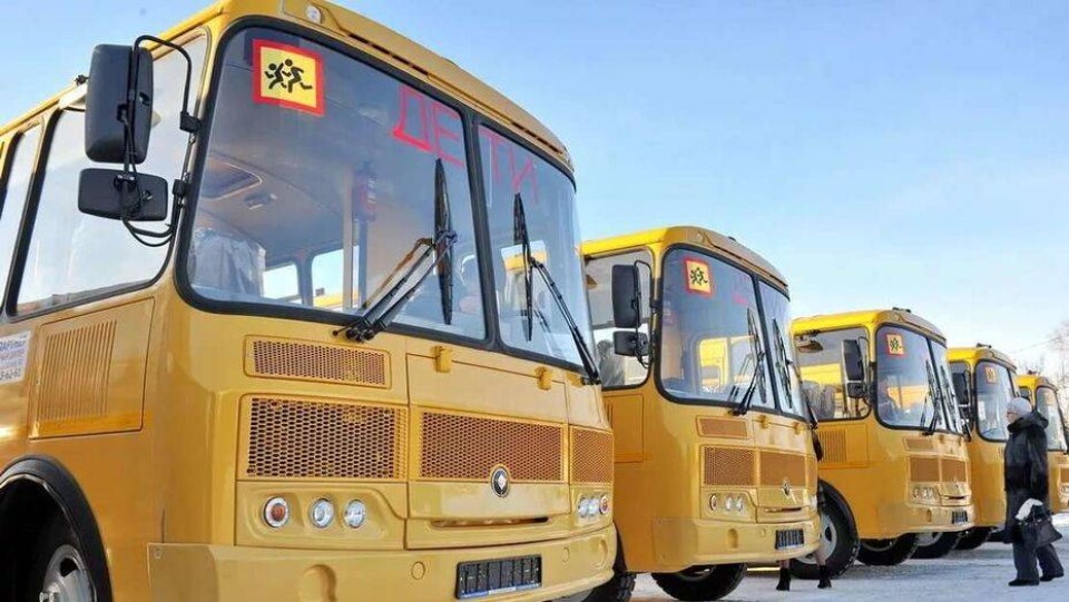 Хорошун в течение месяца предложит варианты внедрения школьных автобусов в Астане