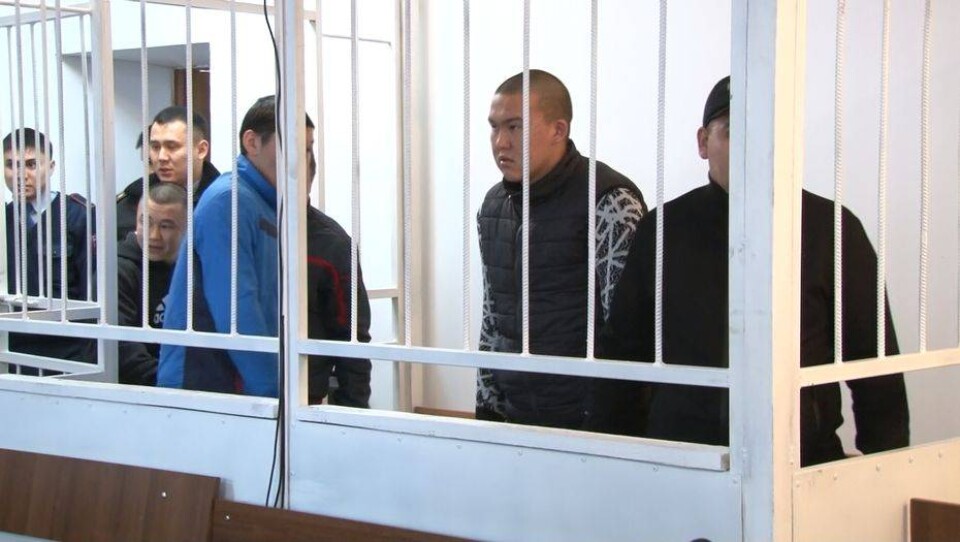 Шестерых скотокрадов судят в Талдыкоргане