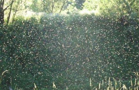 Фото с сайта vk.me