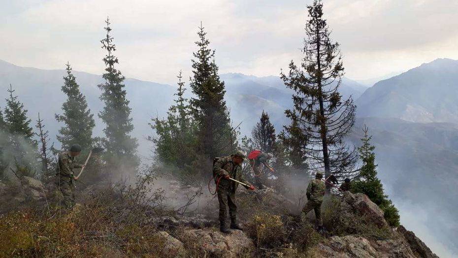 ДЧС Алматинской области