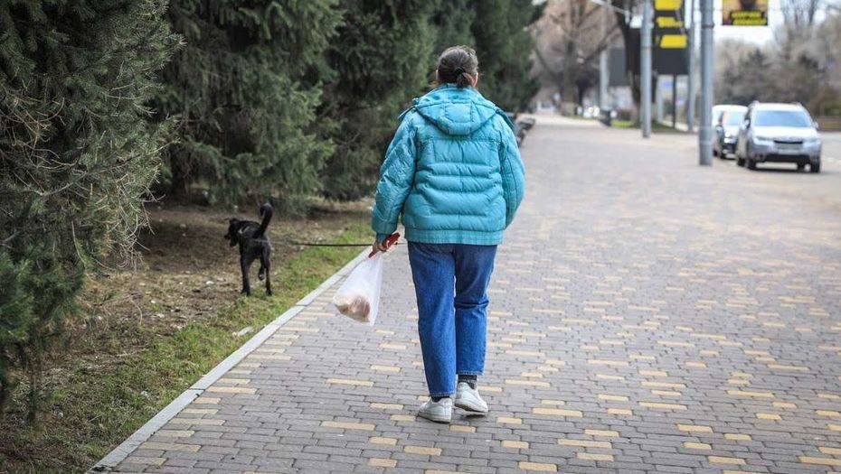 Фото Алмаза Толеке