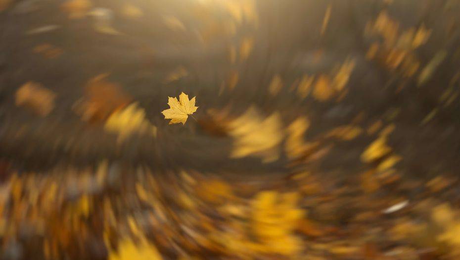 Фото с сайта shutterstock.com