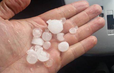 Фото Алексея Куликова