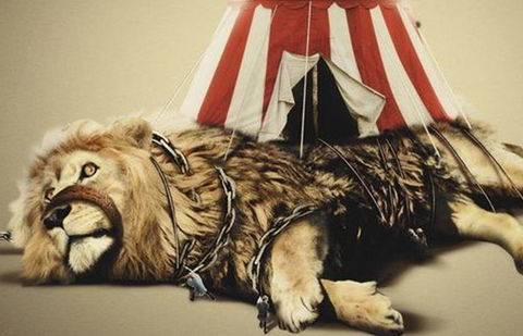 Фото: change.org