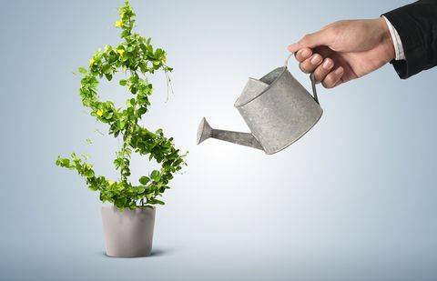 Фото с сайта anna.org.ua