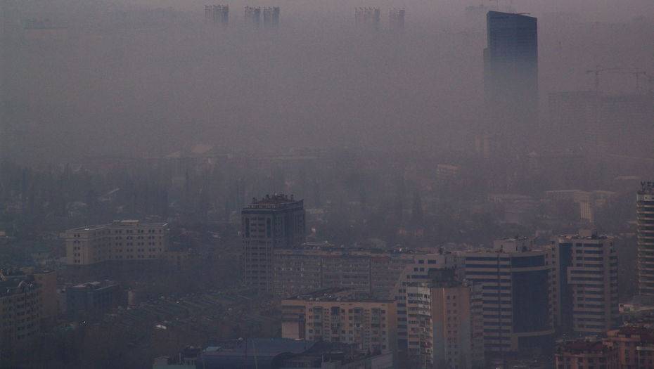 Фото Андрея Михайлова