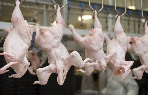 Фото с сайта ocdn.eu