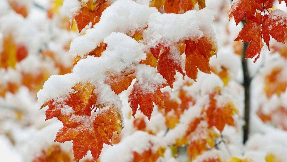 Фото с сайта annalotan.spb.ru