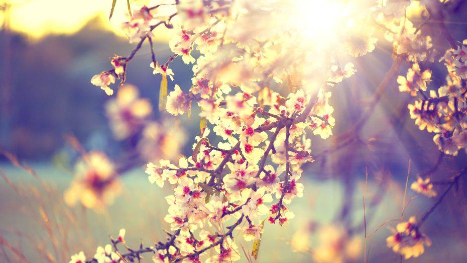 Фото с сайта shutterstock.com