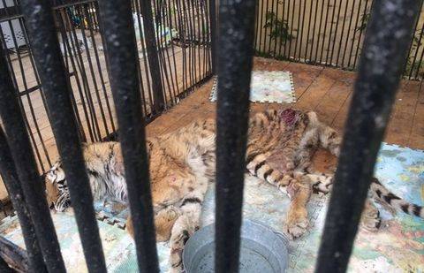 Фото предоставлено Гани Шокотаевым