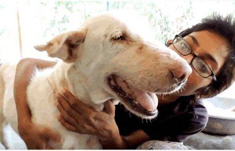 Фото с сайта mtdata.ru.