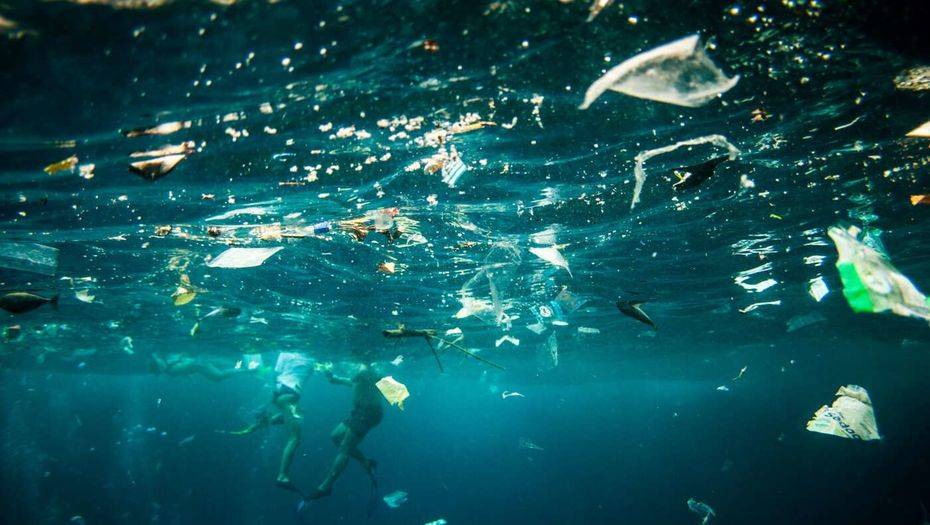 Фото с сайта sciencelife.ru