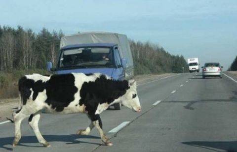 Фото grodno24.com