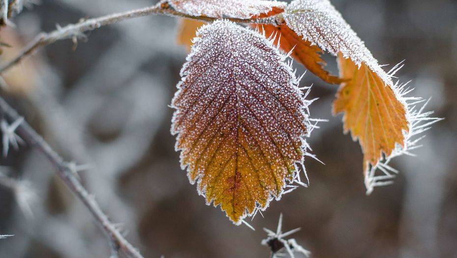 Фото с сайта shutterstock.com