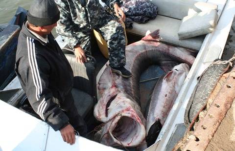 Фото Рахима Койлыбаева