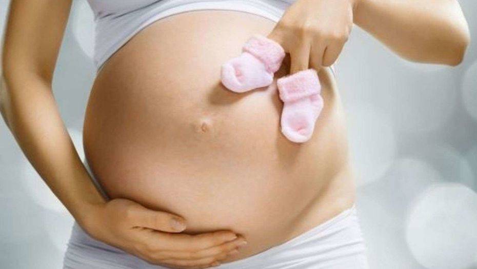 Фото с сайта pandaland.kz