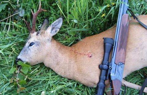 Фото с сайта omskgazeta.ru