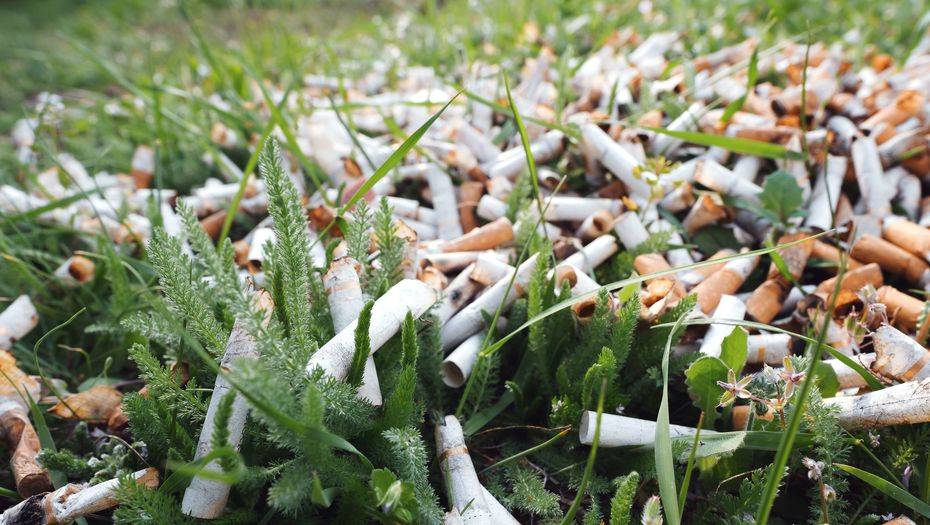 Фото с сайта shutterstock.com