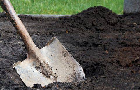 Фото с сайта u74.ru