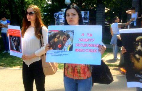 Алматинцы на митинге позвали Байбека посетить "концлагерь", где убивают бездомных животных