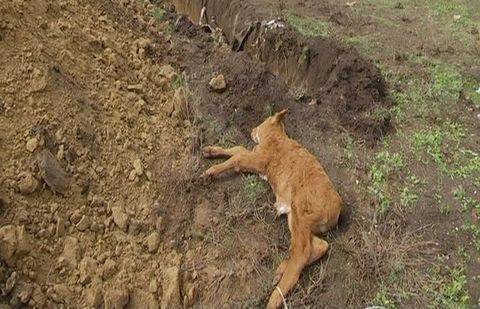 Фото informburo.kz