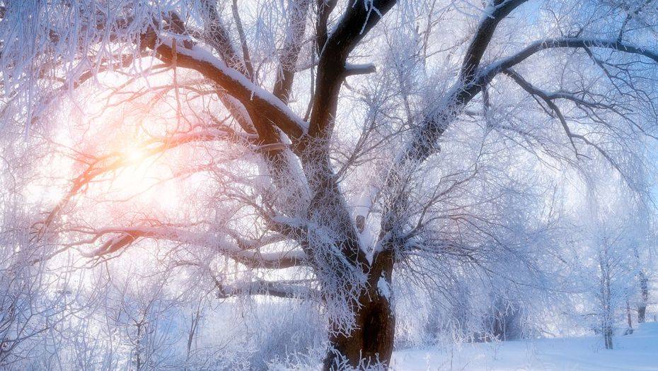 Фото с сайта shutterstock.com