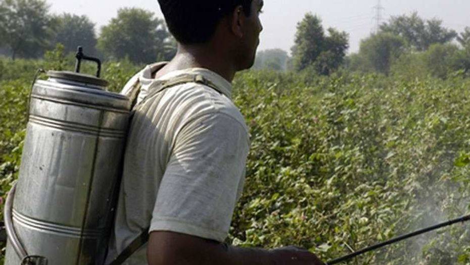 Фото с сайта ООН