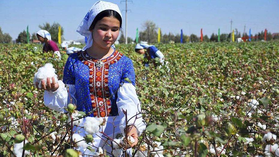 Туркменистан не смог пообещать ООН побороть принудительный сбор хлопка