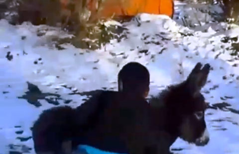 Фото с сайта vk.me