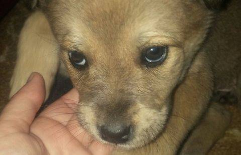 Фото informburo.kz