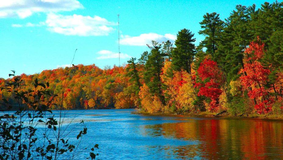 Погоду без осадков прогнозируют на 19 сентября